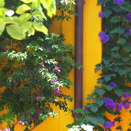 La Maison Jaune