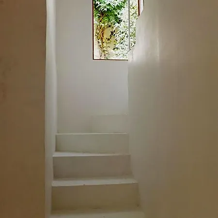 La Maison Jaune *
