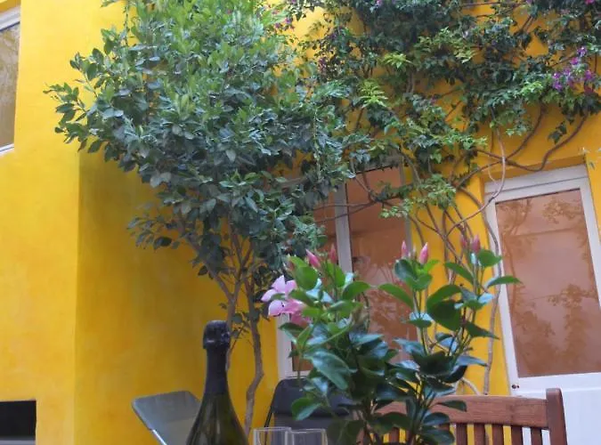 La Maison Jaune * Sète